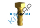 ���� ����� ���������