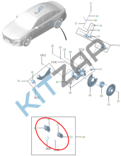������� ������ ��������� (LYNX)_����_0
