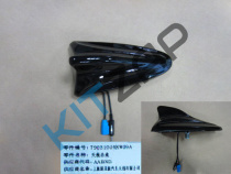 �������_����_0